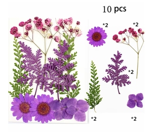 Flores Secas Prensadas Florales Variadas, Paquete Mixto de Flores Naturales Secas Prensadas para Manualidades - Product Image 1
