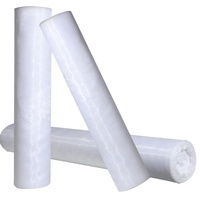Filet anti-insectes transparent en HDPE pour la protection des cultures, des serres agricoles et des abris en plastique, barrière contre les moustiques et les insectes