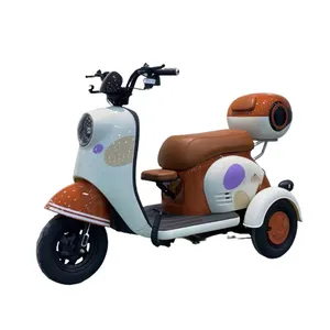 Wheel 3 Adult Cargo Delivery Trike For Elderly Motorized China Three Motorcycle Electrique 1000W Moped Wheels Electric Tricycle