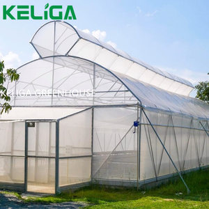 Serra agricola marocco con sistema di ombreggiatura piccola serra a tunnel basso per <span class=keywords><strong>semi</strong></span> di <span class=keywords><strong>pomodoro</strong></span> - Product Image 5