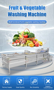 Machine à laver et de nettoyage, lavage et nettoyage des feuilles de thé aux fruits, en acier inoxydable, ml - Product Image 3