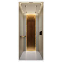 Ascenseur de villa de luxe personnalisable en acier inoxydable, capacité de charge 260-400 kg, capacité 3-5 personnes, intelligent