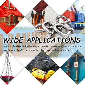 Bền Mỹ D Loại Nâng Thép Không Gỉ 316 3Mm M3 Nhiệm Vụ Nặng Nề 10 Tấn Biểu Tượng Tùy Chỉnh Hàng Hải Phần Cứng Còng - Product Image 6