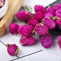 Teh Bunga Alami Globe Amaranth Gomphrena Globosa Kering Bahan Baku Grosir OEM Label Pribadi