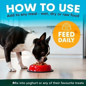 फैक्ट्री थोक ओमेगा 3 पाउडर कुत्तों के लिए त्वचा कोट स्वास्थ्य पाउडर और कोट प्रतिरक्षा समर्थन मुक्त नमूने - Product Image 4