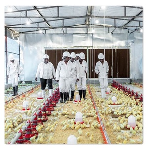 Nueva Tolva de Alimentación de Plástico PP Avanzada con Diseño de Material Innovador para la Cría de Aves de Corral Moderna - Product Image 4