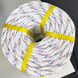 Cordes flottantes en PP de 200/220 m, 4 brins, en polypropylène Daline, monofilament <span class=keywords><strong>plat</strong></span>, pour aquaculture, filets de sécurité, levage, marine - Product Image 4