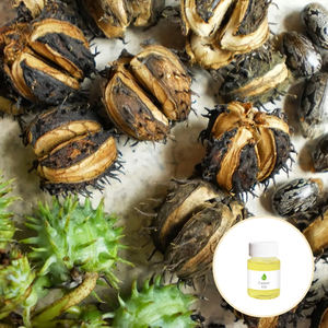 Olio di Ricino Puro al 100% Pressato a Freddo Biologico, Prezzo all'Ingrosso, per la Cura dei Capelli - Product Image 2