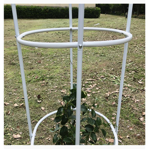 Soporte para Plantas DaringFish, Estilo Europeo, Columna para Balcón, para Plantas en Maceta, Rosas Trepadoras, Resistente a la Oxidación, Metal Recubierto de Plástico - Product Image 5