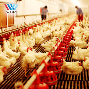 Ánh Sáng Khung Thép Công Nghiệp Đúc Sẵn Gà Nuôi Gia Cầm Trang Trại Ánh Sáng Ngôi Nhà Kết Cấu Thép Xây Dựng - Product Image 5