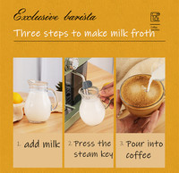 Machine de détartrage commerciale pour café, prix promotionnel pour restaurants, détartrage précis pour machine à expresso, modèle Dubai Deluxe
