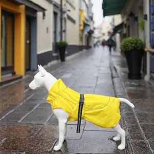 Roupas para Animais de Estimação à Prova d'Água, Jaqueta de Chuva Fina e Respirável, Nova Chegada do Fabricante <span class=keywords><strong>2026</strong></span>, Capa de Chuva Refletiva para Cães para Caminhadas ao Ar Livre - Product Image 1