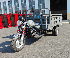 Tricycle cargo bleu à 3 roues avec benne hydraulique pour transport lourd - Product Image 6