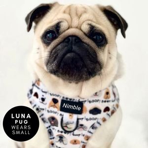 OEM & ODM kustom tali anjing peliharaan tali mewah besar dapat disesuaikan dan Set tali Neoprene bahan fitur personalisasi - Product Image 5