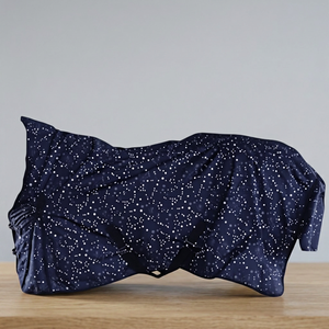 Fanfaree Nouvelle Couverture Anti-Transpiration Professionnelle pour Dressage Équestre, Légère et Respirante pour l'Été, pour Chevaux - Product Image 3