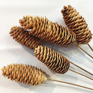 Factory Supple Dried Flower Pine Cone Real Natural Dried <strong>Pinecone</strong> for Christmas Decoration - Product Image 2