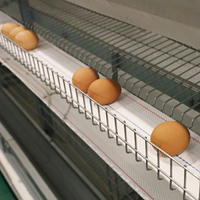Nouvelle cage de poulet en acier de type H pour fermes avicoles Cage de batterie animale pour poulets Cages poulailler