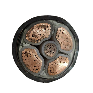 สายไฟฟ้าทองแดงตันหุ้มฉนวนพีวีซีแบบยืดหยุ่น Tianhongxiang ขายดี 0.6/1kv 10มม. 25มม. แรงดันต่ำ - Product Image 5