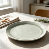 Assiette plate en grès de conception moderne Qinjia, écologique, compatible lave-vaisselle et micro-ondes, qualité alimentaire, pour hôtels et restaurants
