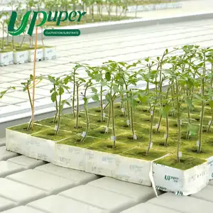 UPuper-Sistema de goteo para invernadero, sustrato de cultivo media, lana de roca, Cubo de cultivo hidropónico