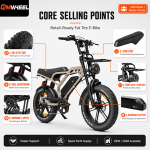 QMWHEEL V20 Limited bicicleta eléctrica con batería de litio de 48V, distribuidor de almacén en el extranjero, OEM, ODM, B2B, OEM - Product Image 1