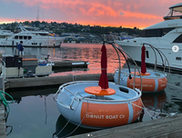 Bateau tamponneur électrique pour barbecue - Bateau de loisirs gonflable en plastique LLDPE