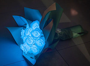 Toptan Işıklı Şeffaf Karanlıkta Parlayan PLA 3D Baskı Filamenti 1.75mm 1kg Plastik Çubuklar Tüm Yazıcılarla Uyumlu - Product Image 2