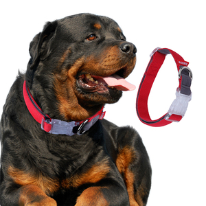Collier de chien en nylon réglable avec logo personnalisé en gros - Product Image 2