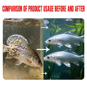 <span class=keywords><strong>Parasite</strong></span> aquatique clair universel pour tous les parasites aquatiques - Product Image 5