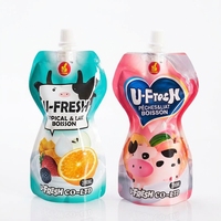 Sachet Doypack à Bec Verseur de Forme Spéciale, Anti-fuite, Impression Gravure, pour Emballage de Jus de Fruits, Lait et Boissons – Vente en Gros OEM ODM