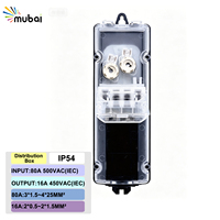 Boîtier de distribution d'éclairage public M695 IP54 étanche ignifuge avec bornier de fusibles 80A 500VAC et conducteur en cuivre pour extérieur