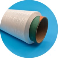 FDY 150d Nim Nylon DTY Creux Nylon Pa 6 Filament Fil