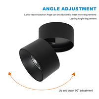 LOSO Intérieur Blanc Noir Pliable Aluminium 10W 20W 30W 40W Plafond Spot LED monté en surface