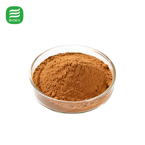 Polvo de Hongo Ostra BioLex Puro y Natural, Ingredientes de Grado Alimenticio para Suplementos, Polvo de Hongo Orgánico - Product Image 1