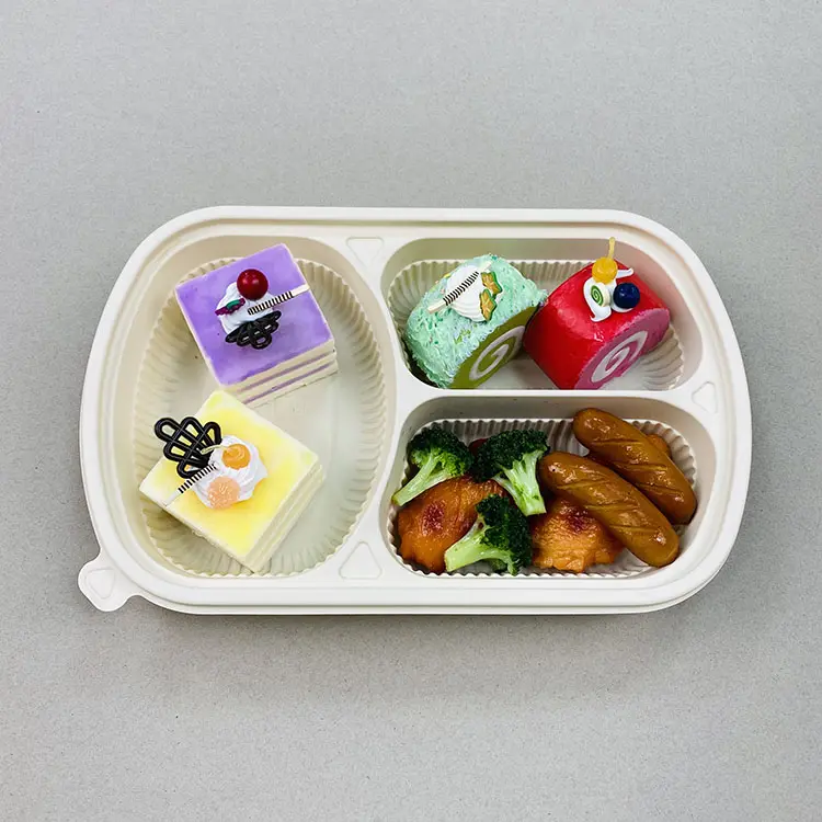 Caja de comida rápida desechable Biodegradable, contenedores de alimentos de bagazo de caña de azúcar respetuosos con el medio ambiente, 100%