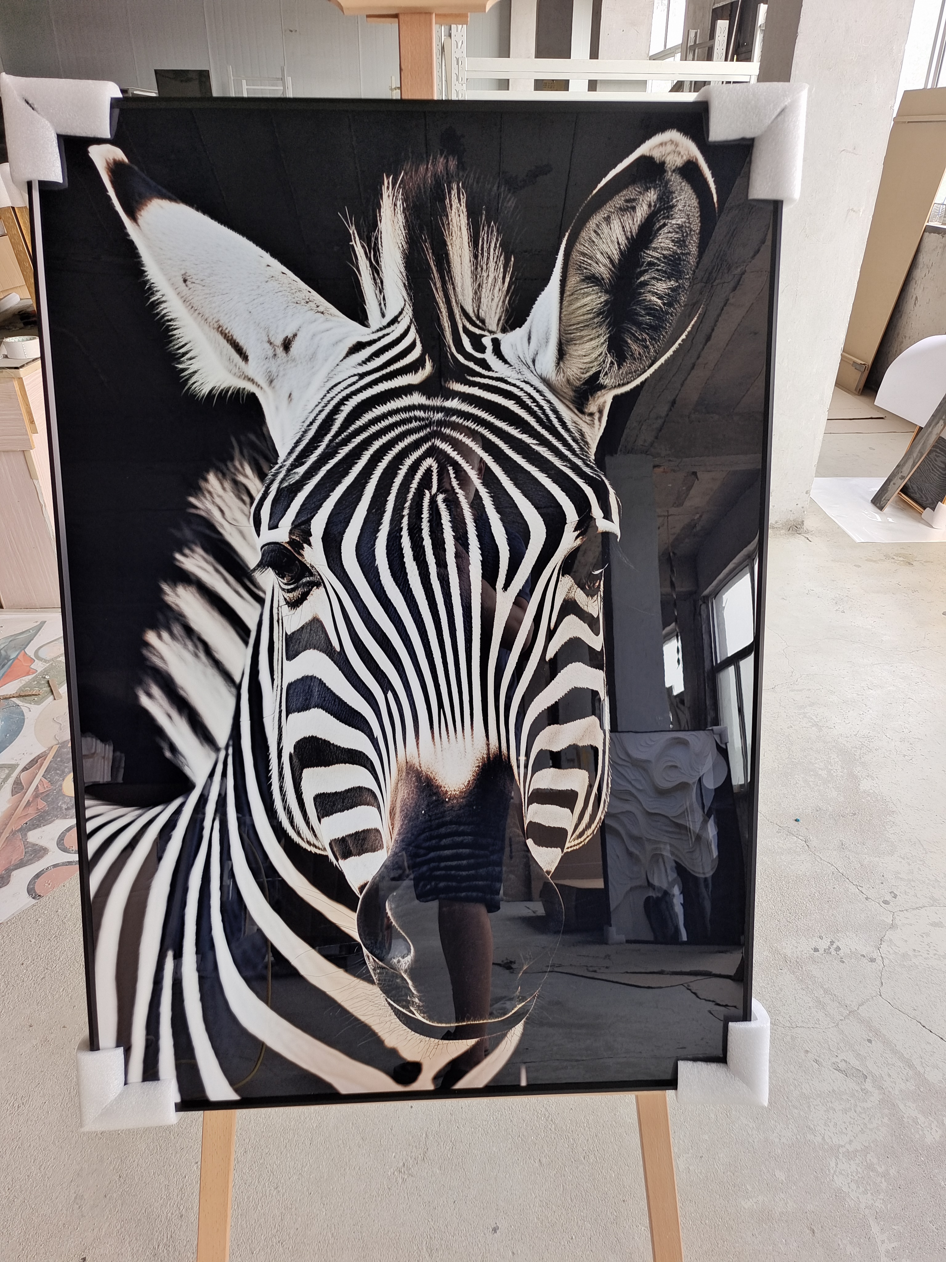 zebra