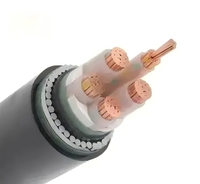 Fabrik-Großhandelspreis 2,5mm 4mm 6mm 10mm XLPE-isoliertes Kupfer-Stahl-Drahtkabel mit PVC-Ummantelung 0,6/1KV Stromkabel