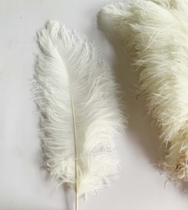 Bán Buôn DIY Craft 50Cm Lớn Lớn Dài Chùm Đám Cưới Trung Tâm Trang Trí Nội Thất Màu Đen Trắng Đà Điểu Lông Cho Lễ Hội Đảng Cung Cấp - Product Image 2