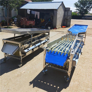 Máquina Clasificadora Multifuncional de Frutas, Verduras, Ajo, Clasificación Automática de Cebollas, Clasificación de Aceitunas - Product Image 6