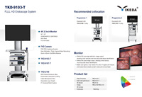 Système d'endoscopie médicale IKEDA YKD-9103, source de lumière, caméra, alimentation électrique, certifié CE ISO, garantie de 2 ans