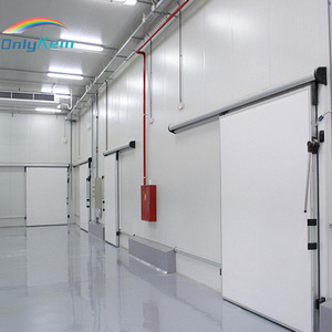Chambre froide à double porte avec accès avant et arrière, isolation PU, pour entrepôt alimentaire à fort débit - Product Image 3