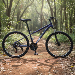 Vélo de montagne <span class=keywords><strong>VTT</strong></span> personnalisé OEM <span class=keywords><strong>24</strong></span>/<span class=keywords><strong>26</strong></span> <span class=keywords><strong>pouces</strong></span> 21 vitesses avec freins à disque, certifié CE, garantie pour adultes - Product Image 6
