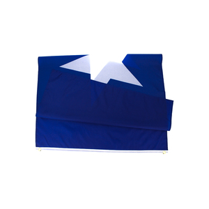 Listo para enviar 100% Poliéster 3x5ft Stock Histórico República del oeste de <span class=keywords><strong>Florida</strong></span> Bonnie Bandera azul - Product Image 2
