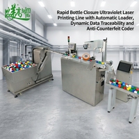 Système d'alimentation automatique pour marquage laser UV haute vitesse des bouchons de bouteilles, machine de codage anti-contrefaçon avec traçabilité des données variables