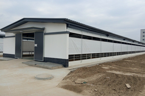 Officina di stoccaggio industriale pronta per la costruzione di capannoni <span class=keywords><strong>in</strong></span> acciaio prefabbricati con struttura <span class=keywords><strong>in</strong></span> <span class=keywords><strong>ferro</strong></span> - Product Image 4