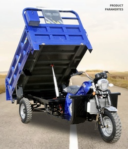 <span class=keywords><strong>Triciclo</strong></span> de Carga Loge Personalizado, Económico, de 3 Ruedas, con Volquete, Motor de 350cc Refrigerado por Aire, para Adultos - Product Image 2