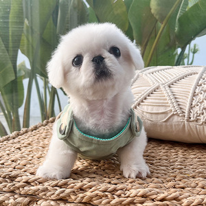 <b>Pet</b> <b>Harness</b> With Leash For Dogs And Cats Outdoor Polyester Adjustable Size Solid Color Chest Strap Design - Product Image 5