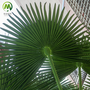 Palmeras Artificiales de Fibra de Vidrio Resistentes a los Rayos UV para Decoración de Playas y Paisajes al Aire Libre - Product Image 5