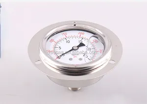 최고의 가격 스테인레스 스틸 하단 마운트 물 압력 게이지 200 300 psi