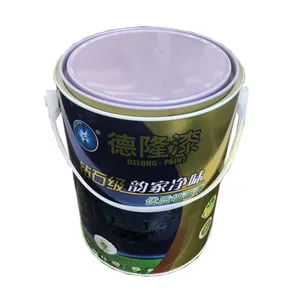 Cina vendita calda riciclabile da 5 litri in acciaio vuoto secchi chimici secchio per pittura olio secchio